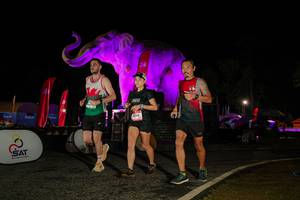 BIB: 
                            <button type="button" onclick="openModal(26534573)" class="btn btn-primary btn-sm float-right btn-popup" data-toggle="modal" data-target=".modal-high-quality">
                        <i class="fas fa-shopping-cart"></i> Add to Cart
                    </button>
                                            <button type="button" onclick="isThisMe(26534573, true)" class="btn btn-success btn-sm float-right btn-popup btn-isme hidden" data-toggle="tooltip" data-placement="bottom" title="นี่คือรูปของคุณใช่ไหม คลิกที่นี่เพื่อเอาเข้าอัลบั้ม">
                        <i class="fas fa-plus"></i> Add to album
                    </button>
                    <button type="button" onclick="isThisMe(26534573, false)" class="btn btn-warning btn-sm float-right btn-popup btn-isnotme hidden">
                        <i class="fas fa-ban"></i> Remove from album
                    </button>